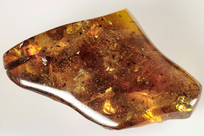 Polished Chiapas Amber ( g) - Mexico #193211